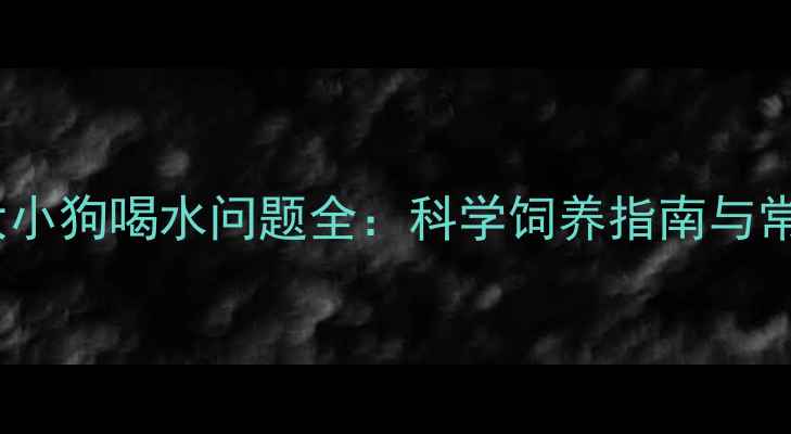 图片 4个月大小狗喝水问题全：科学饲养指南与常见误区