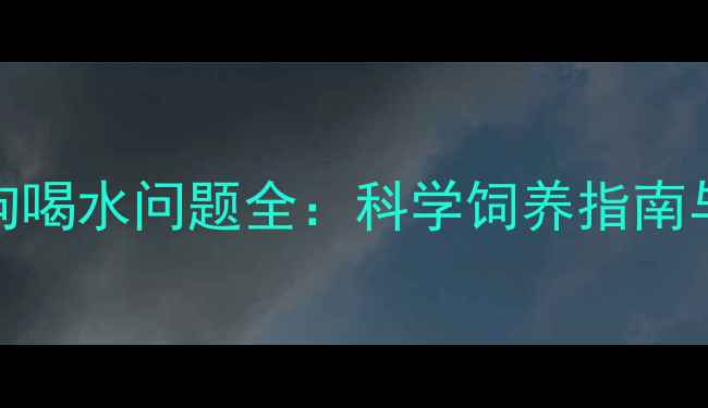 图片 4个月大小狗喝水问题全：科学饲养指南与常见误区2