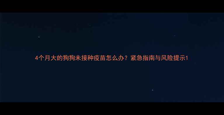 图片 4个月大的狗狗未接种疫苗怎么办？紧急指南与风险提示1