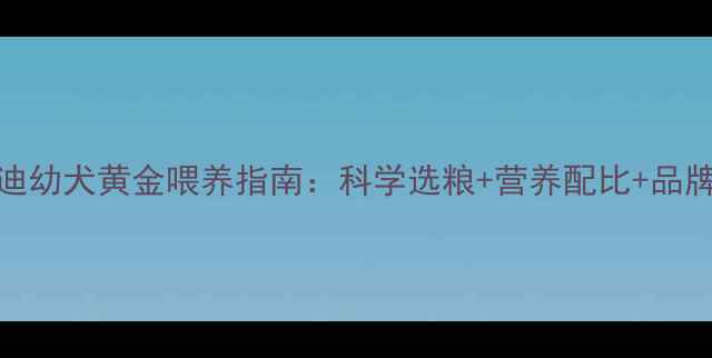图片 4个月泰迪幼犬黄金喂养指南：科学选粮+营养配比+品牌推荐全1