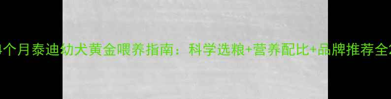 图片 4个月泰迪幼犬黄金喂养指南：科学选粮+营养配比+品牌推荐全2