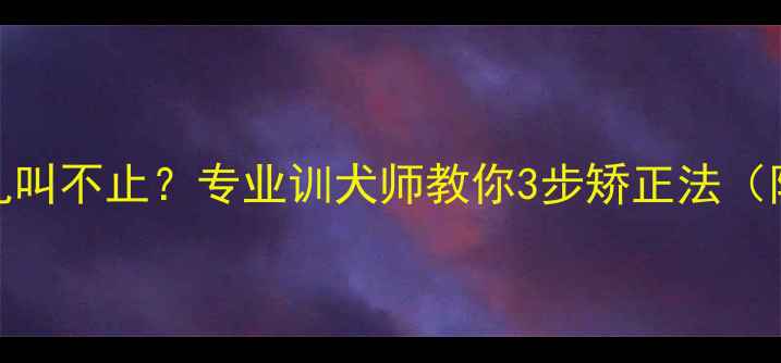 图片 5个月大幼犬乱叫不止？专业训犬师教你3步矫正法（附训犬指南）2