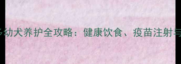 图片 5个月拉布拉多幼犬养护全攻略：健康饮食、疫苗注射与行为训练指南