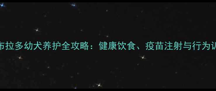 图片 5个月拉布拉多幼犬养护全攻略：健康饮食、疫苗注射与行为训练指南1
