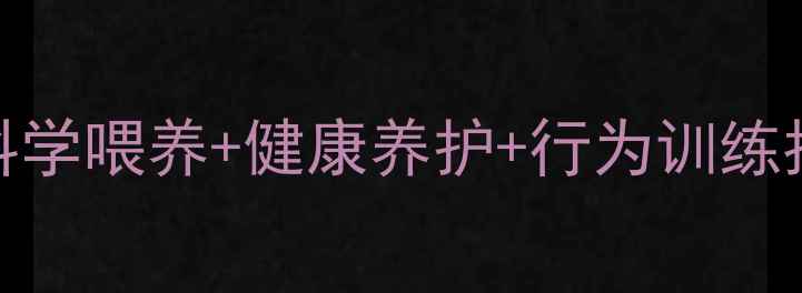 图片 5个月柯基犬全攻略：科学喂养+健康养护+行为训练指南（认证养宠干货）2