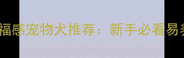 图片 5种低维护高幸福感宠物犬推荐：新手必看易养活狗狗全攻略
