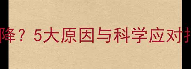 图片 6个月大猫咪饭量下降？5大原因与科学应对指南（附喂食方案）