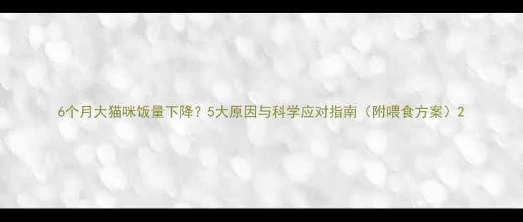 图片 6个月大猫咪饭量下降？5大原因与科学应对指南（附喂食方案）2