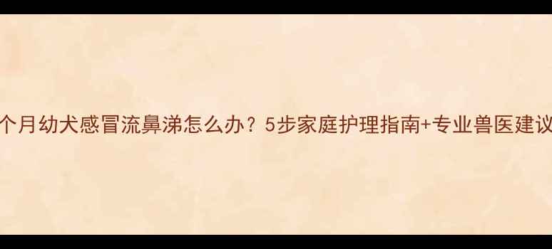 图片 6个月幼犬感冒流鼻涕怎么办？5步家庭护理指南+专业兽医建议1