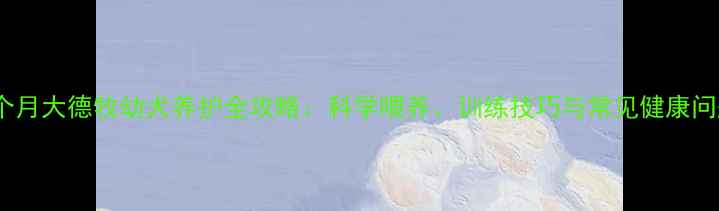 图片 7个月大德牧幼犬养护全攻略：科学喂养、训练技巧与常见健康问题