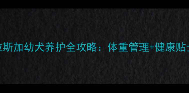 图片 7个月大阿拉斯加幼犬养护全攻略：体重管理+健康贴士+训练要点
