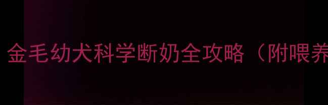 图片 7周龄断奶黄金期！金毛幼犬科学断奶全攻略（附喂养清单+避坑指南）1