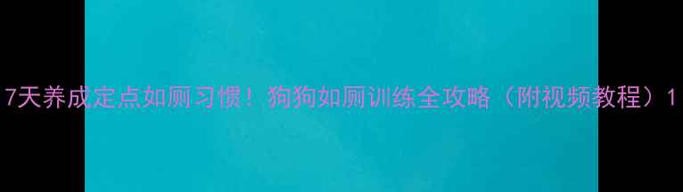 图片 7天养成定点如厕习惯！狗狗如厕训练全攻略（附视频教程）1