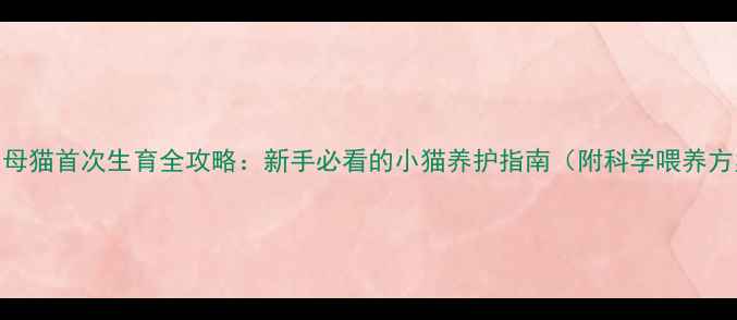 图片 8个月母猫首次生育全攻略：新手必看的小猫养护指南（附科学喂养方案）1