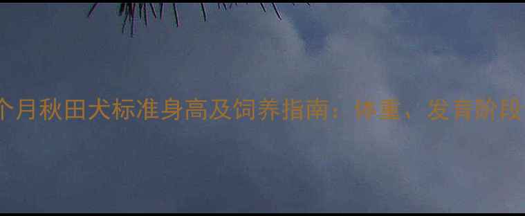 图片 8个月秋田犬标准身高及饲养指南：体重、发育阶段全