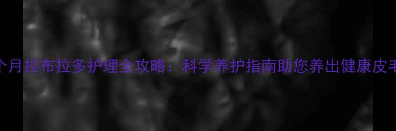 图片 9个月拉布拉多护理全攻略：科学养护指南助您养出健康皮毛1