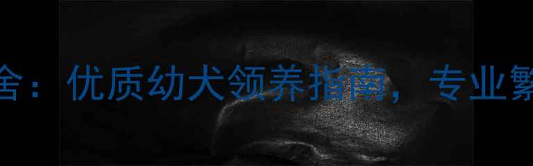 图片 CKU认证哈士奇犬舍：优质幼犬领养指南，专业繁育与健康保障全1