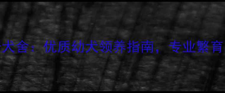图片 CKU认证哈士奇犬舍：优质幼犬领养指南，专业繁育与健康保障全2