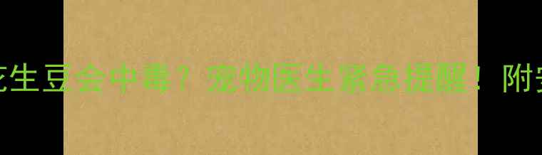 图片 ⚠️哈士奇吃花生豆会中毒？宠物医生紧急提醒！附安全喂养全攻略