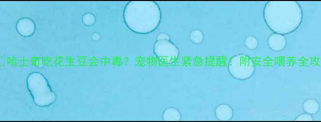 图片 ⚠️哈士奇吃花生豆会中毒？宠物医生紧急提醒！附安全喂养全攻略1