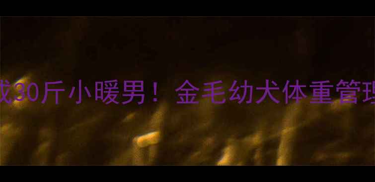 图片 ✨30天养成30斤小暖男！金毛幼犬体重管理全攻略🐾