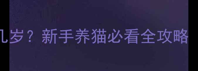 图片 ✨两个月的小猫相当于人类几岁？新手养猫必看全攻略（附成长阶段表+护理指南）2