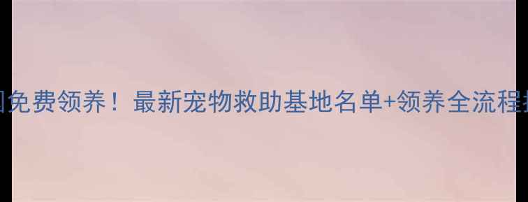 图片 ✨全国免费领养！最新宠物救助基地名单+领养全流程指南🐾