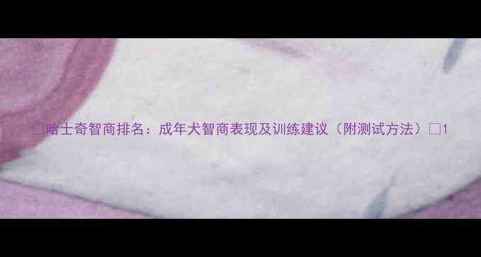 图片 ✨哈士奇智商排名：成年犬智商表现及训练建议（附测试方法）🐾1