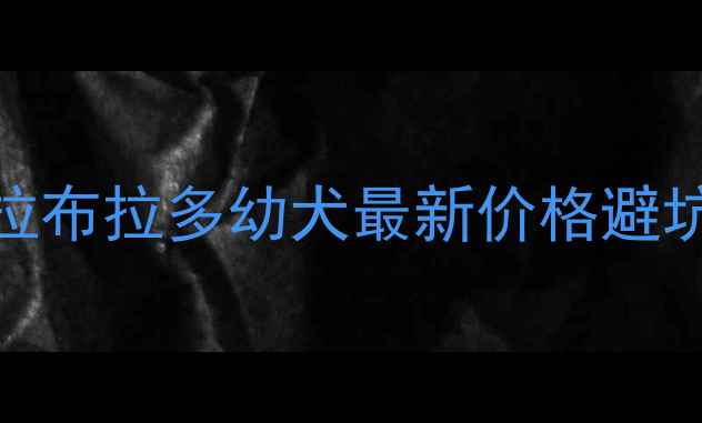 图片 ✨宜宾拉布拉多幼犬最新价格避坑指南✨