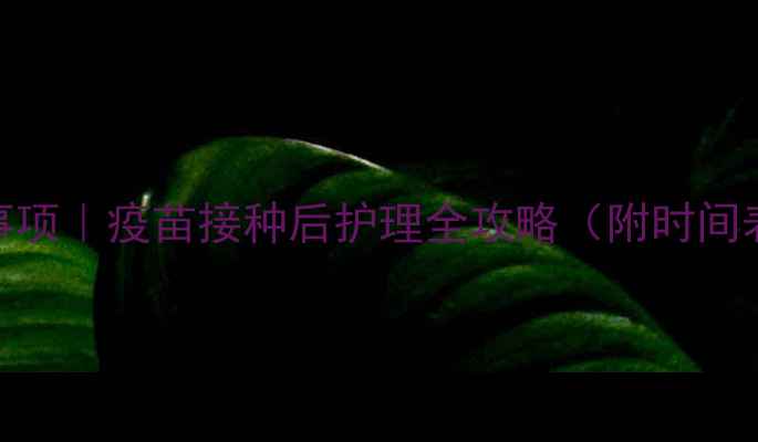 图片 ✨小狗疫苗注意事项｜疫苗接种后护理全攻略（附时间表+避坑指南）🐾1