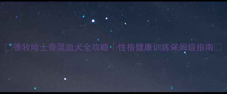 图片 ✨德牧哈士奇混血犬全攻略｜性格健康训练保姆级指南🐾