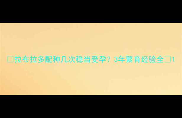 图片 ✨拉布拉多配种几次稳当受孕？3年繁育经验全🐾1