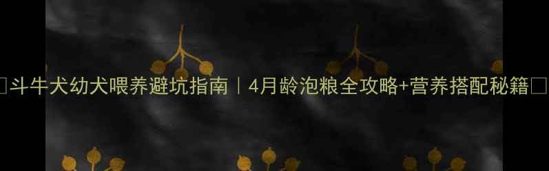 图片 ✨斗牛犬幼犬喂养避坑指南｜4月龄泡粮全攻略+营养搭配秘籍✨2