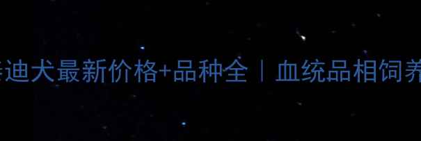 图片 ✨无锡泰迪犬最新价格+品种全｜血统品相饲养指南✨2