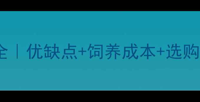 图片 ✨棕色拉布拉多价格全｜优缺点+饲养成本+选购指南（保姆级攻略）2