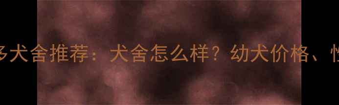 图片 ✨油色拉布拉多犬舍推荐：犬舍怎么样？幼犬价格、性格特点全！🐾