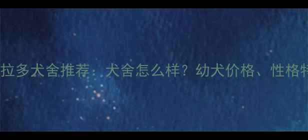 图片 ✨油色拉布拉多犬舍推荐：犬舍怎么样？幼犬价格、性格特点全！🐾2