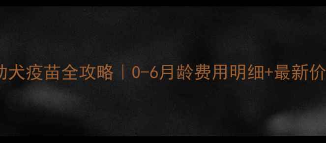 图片 ✨泰迪幼犬疫苗全攻略｜0-6月龄费用明细+最新价清单🐾2