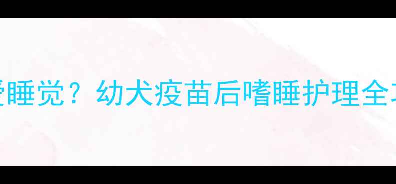 图片 ✨狗狗打完疫苗后总爱睡觉？幼犬疫苗后嗜睡护理全攻略｜附科学应对指南
