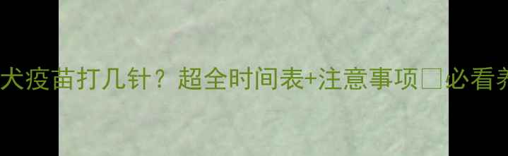 图片 ✨狗狗狂犬疫苗打几针？超全时间表+注意事项🔥必看养宠人！1