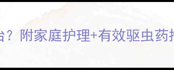 图片 ✨狗狗螨虫怎么治？附家庭护理+有效驱虫药推荐（附图解）✨