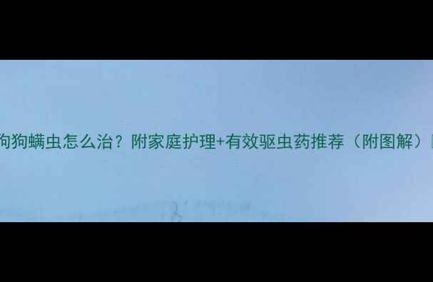 图片 ✨狗狗螨虫怎么治？附家庭护理+有效驱虫药推荐（附图解）✨1