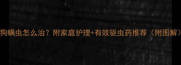 图片 ✨狗狗螨虫怎么治？附家庭护理+有效驱虫药推荐（附图解）✨2
