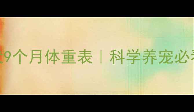 图片 ✨边境牧羊犬9个月体重表｜科学养宠必看发育标准🐾