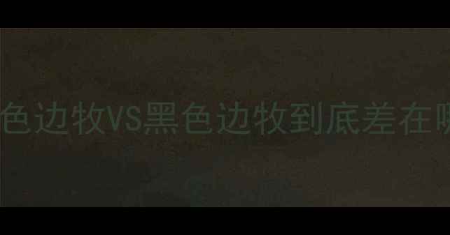 图片 ✨边境牧羊犬颜色大｜金色边牧VS黑色边牧到底差在哪？新手必看养狗指南🔥2