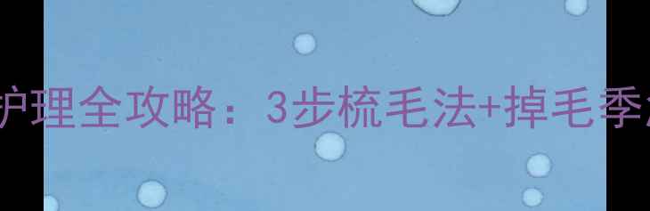 图片 ✨边牧毛发护理全攻略：3步梳毛法+掉毛季急救指南✨2