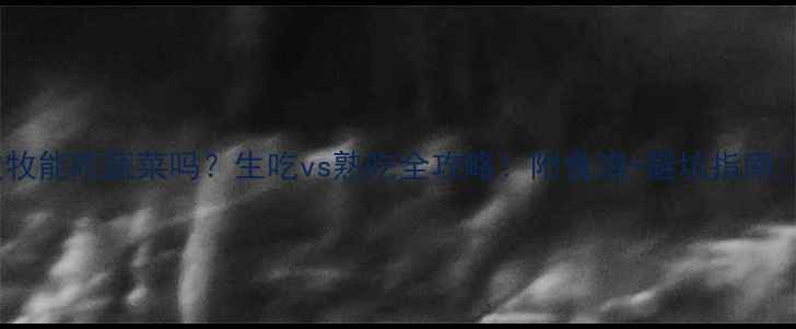 图片 ✨边牧能吃蔬菜吗？生吃vs熟吃全攻略！附食谱+避坑指南⚠️1