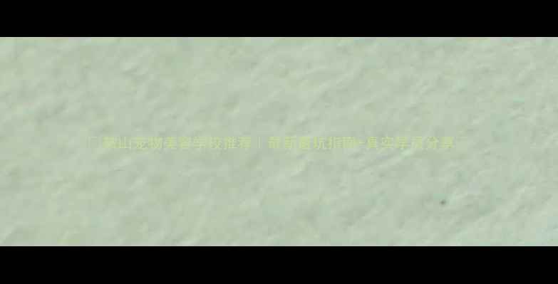 图片 ✨鞍山宠物美容学校推荐｜最新避坑指南+真实学员分享✨