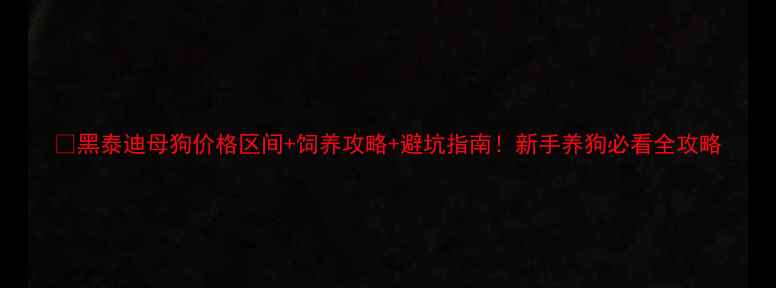 图片 ✨黑泰迪母狗价格区间+饲养攻略+避坑指南！新手养狗必看全攻略