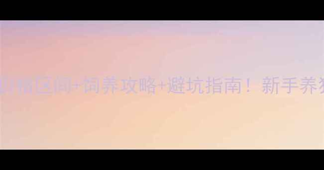 图片 ✨黑泰迪母狗价格区间+饲养攻略+避坑指南！新手养狗必看全攻略1